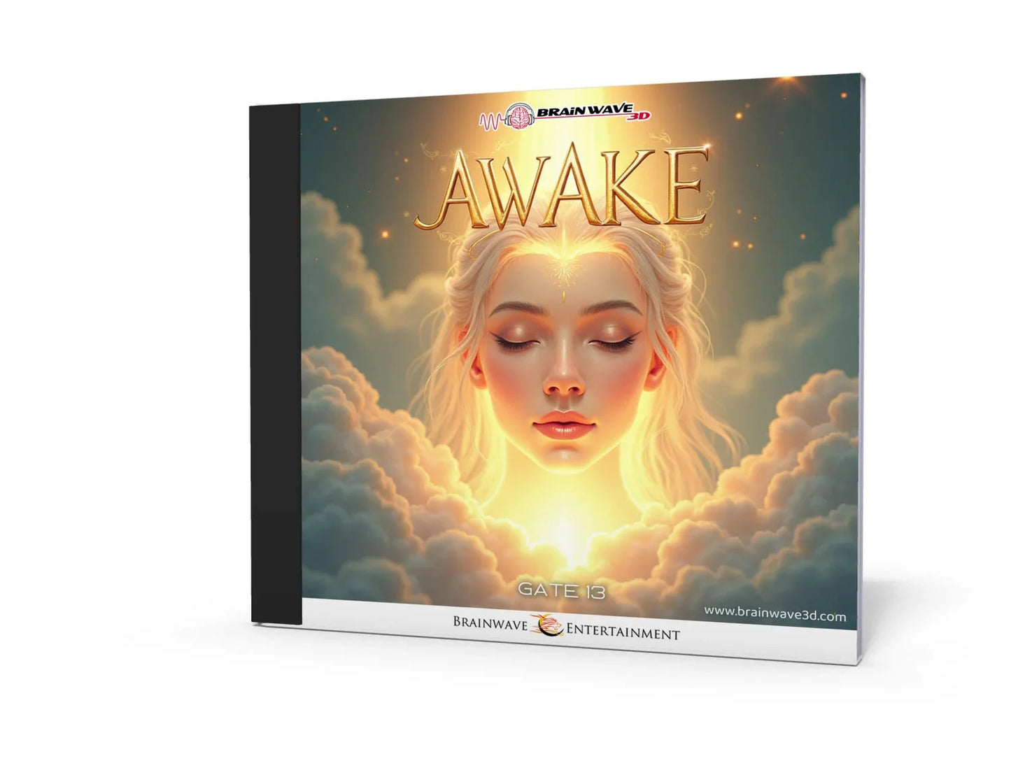 Gate 13: Awake