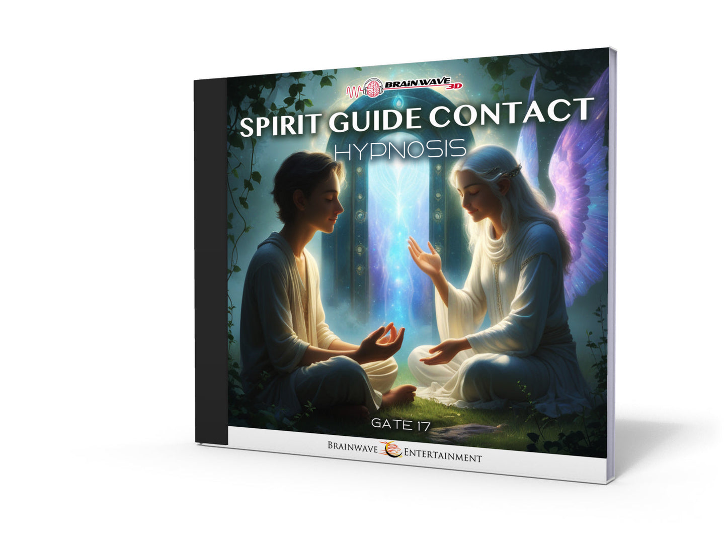 Gate 17: Spirit Guide Contact