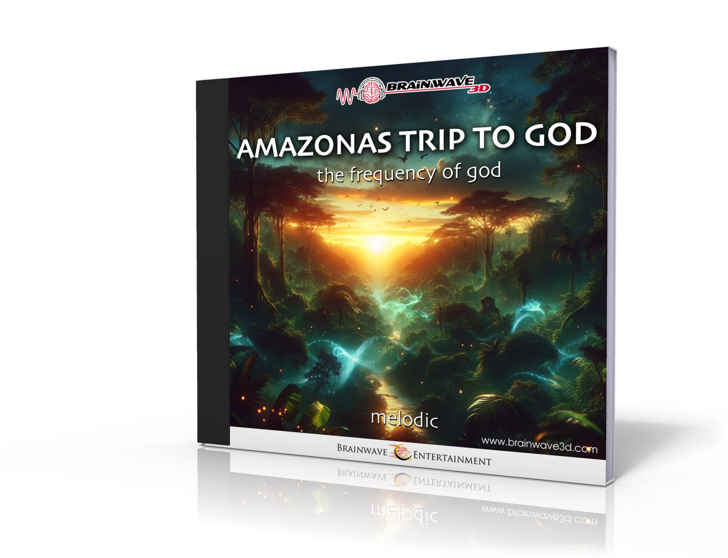 Amazonas Trip To God