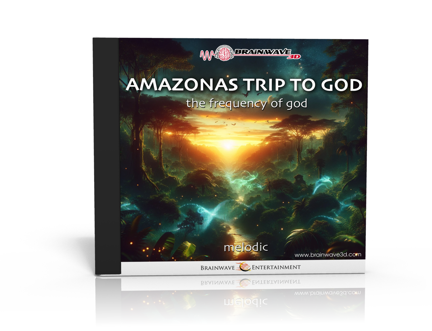 Amazonas Trip To God