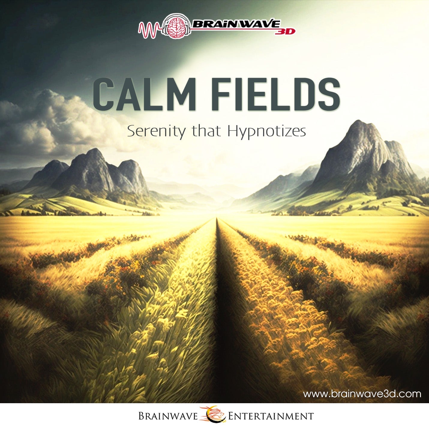 Calm Fields