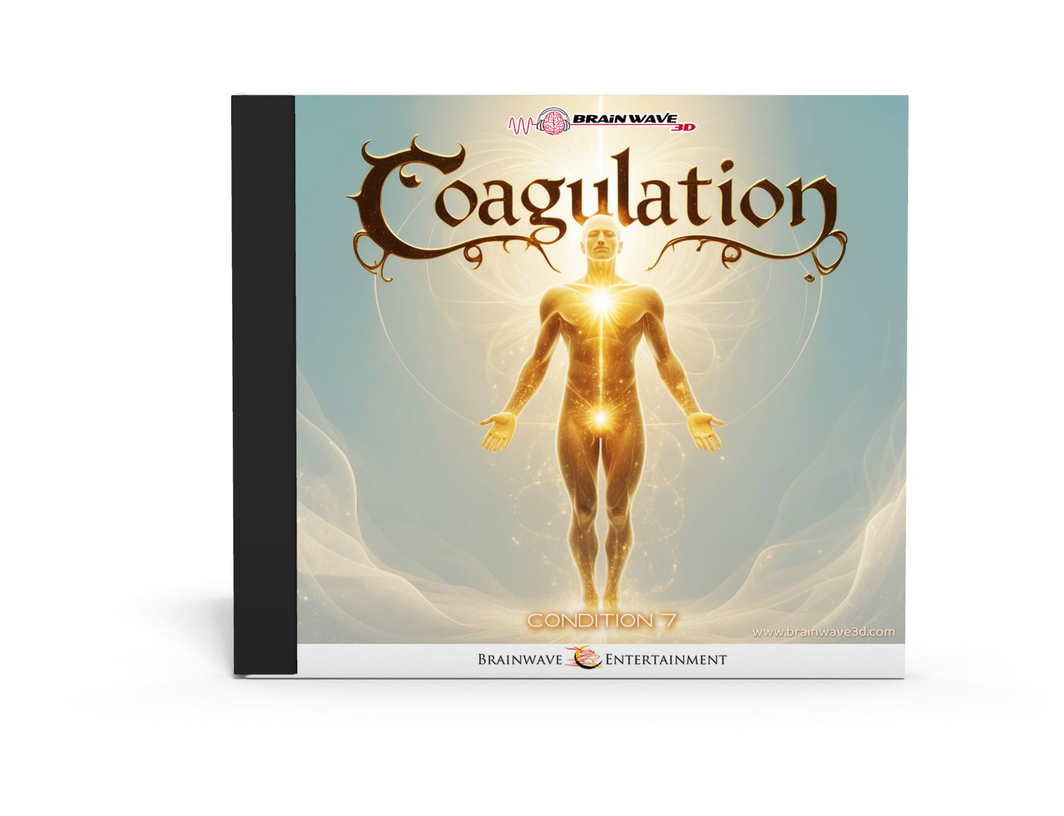 Coagulation - Chapter 7