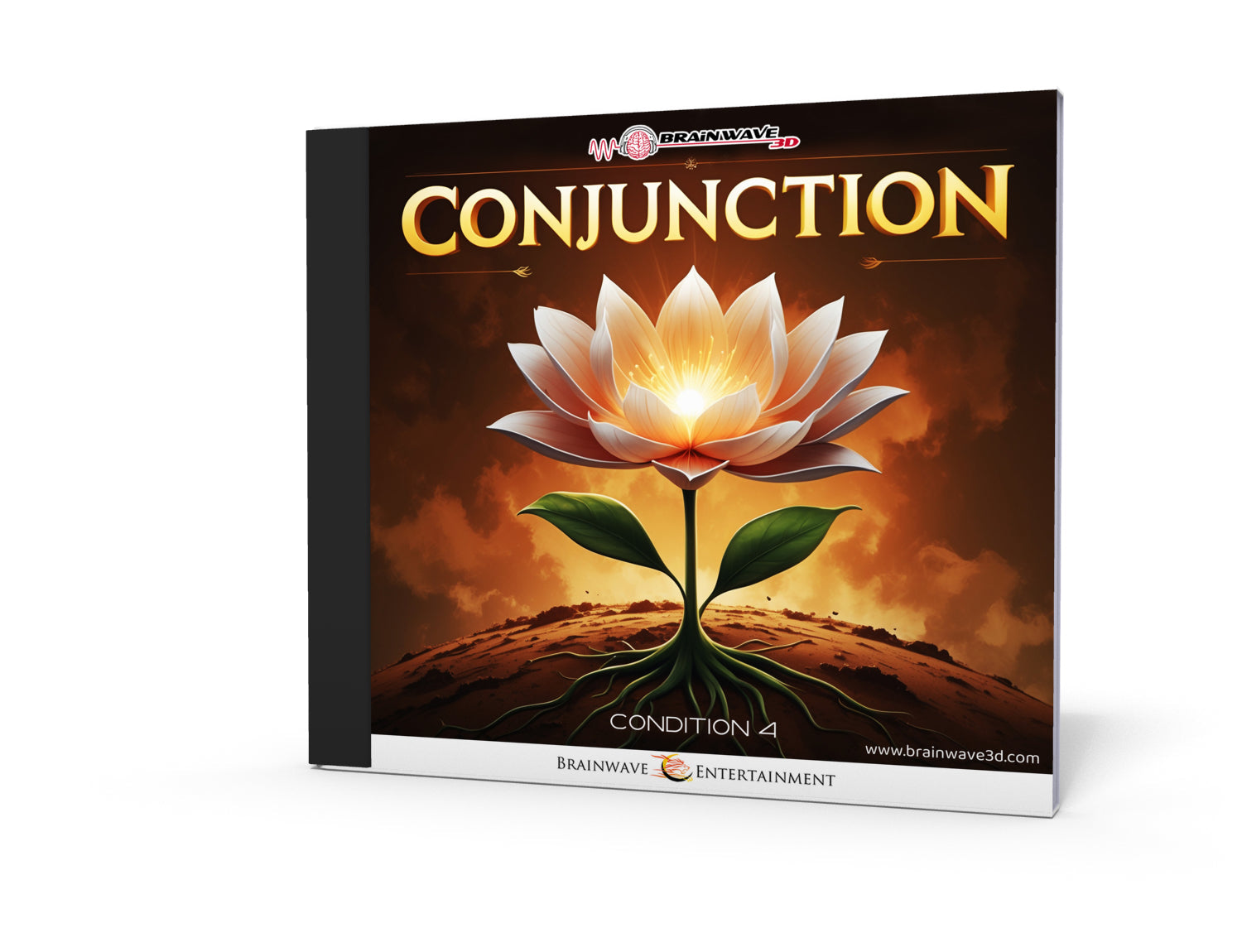 Conjunction - Chapter 4