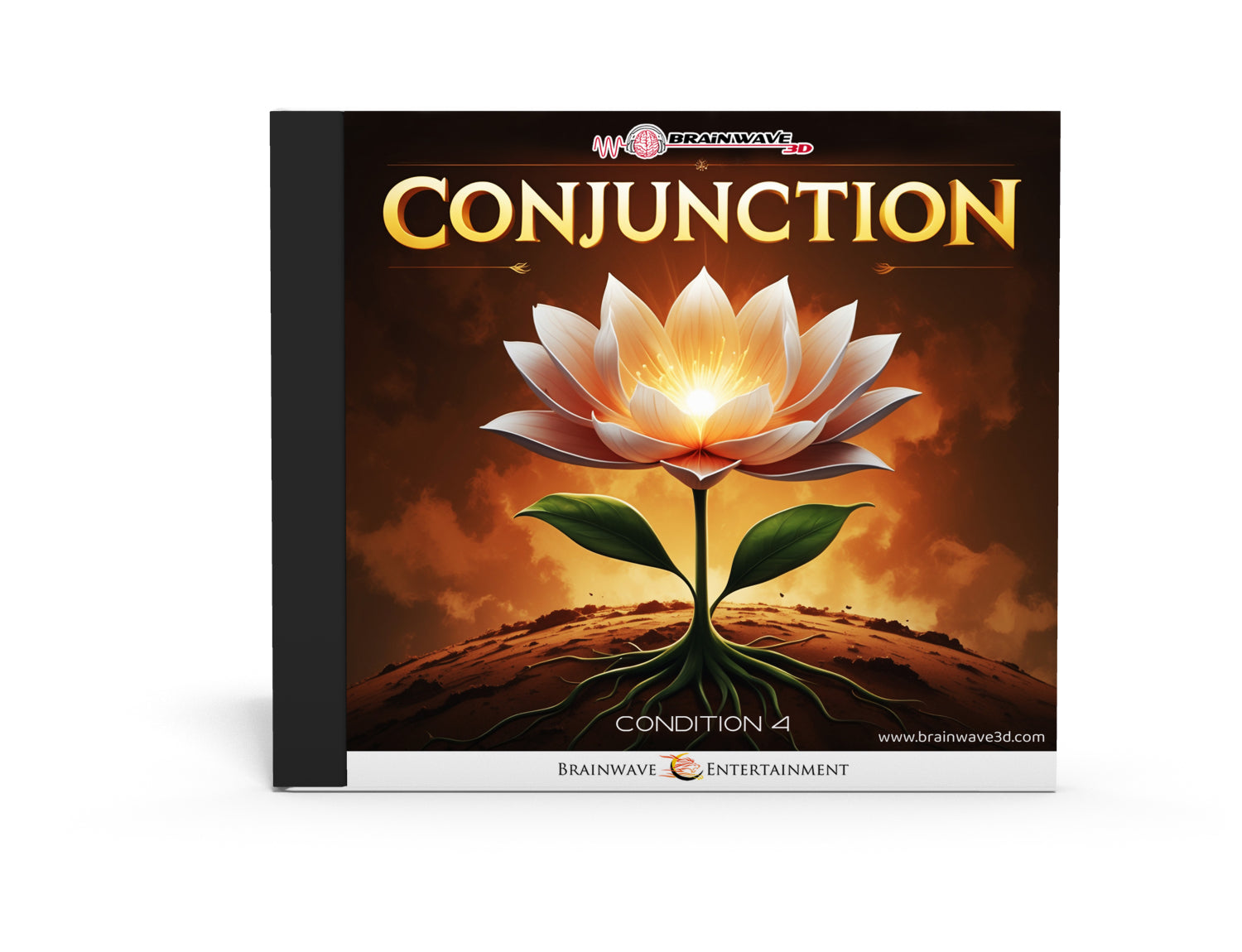 Conjunction - Chapter 4