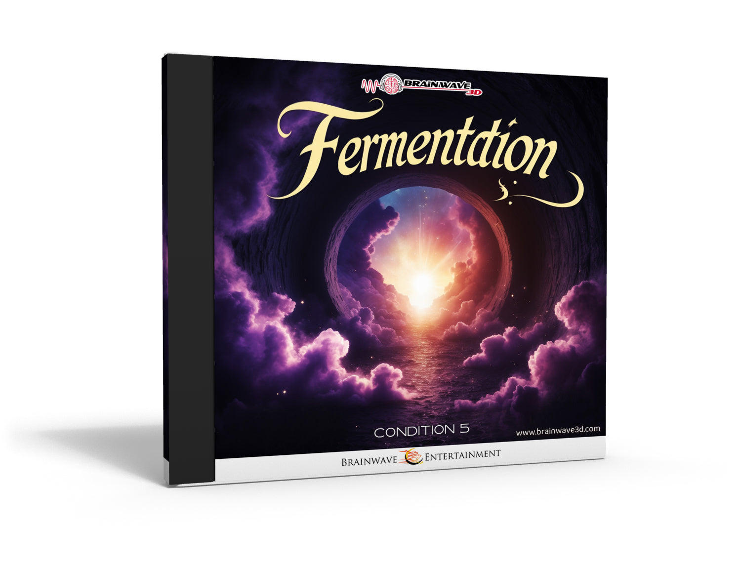 Fermentation - Chapter 5