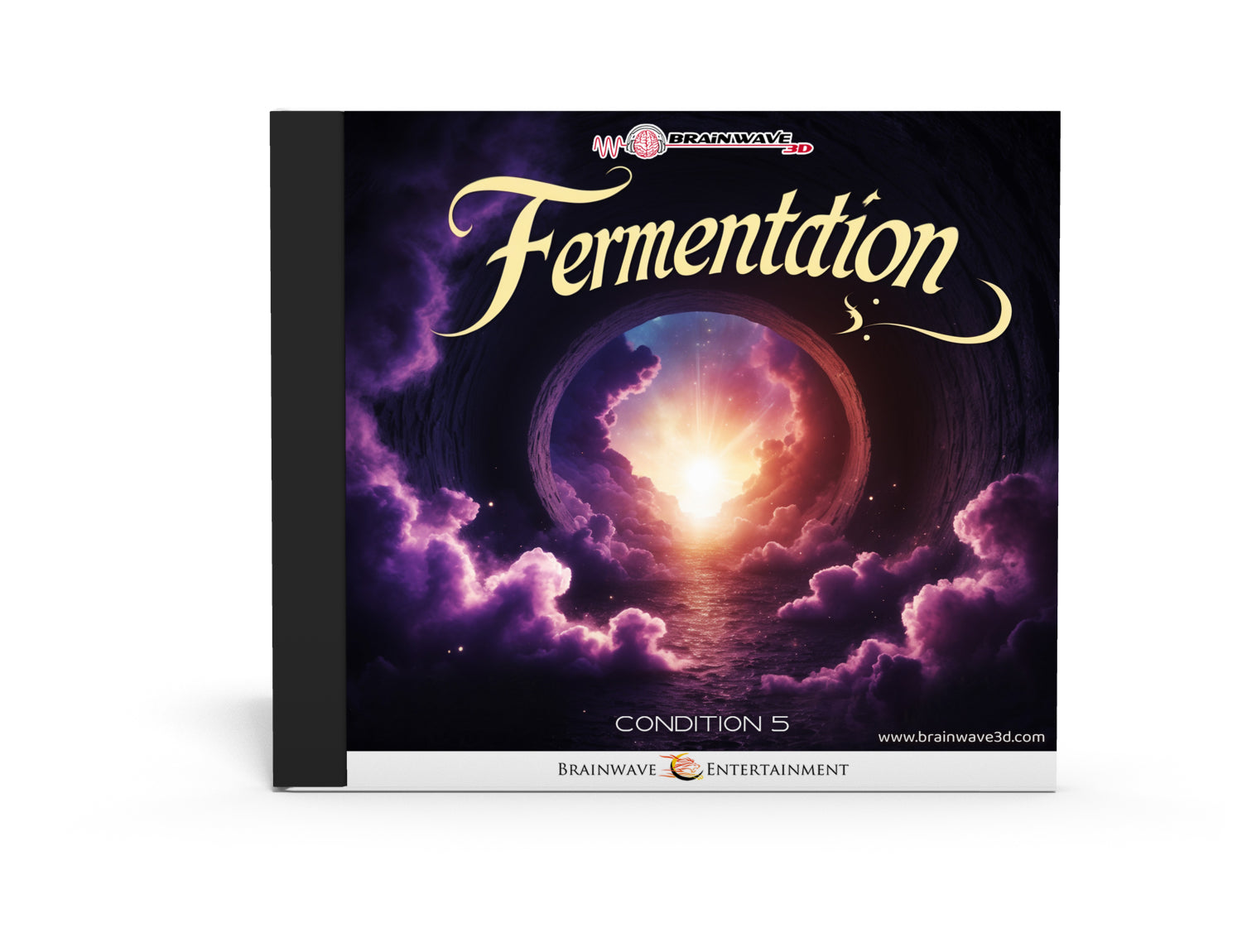 Fermentation - Chapter 5