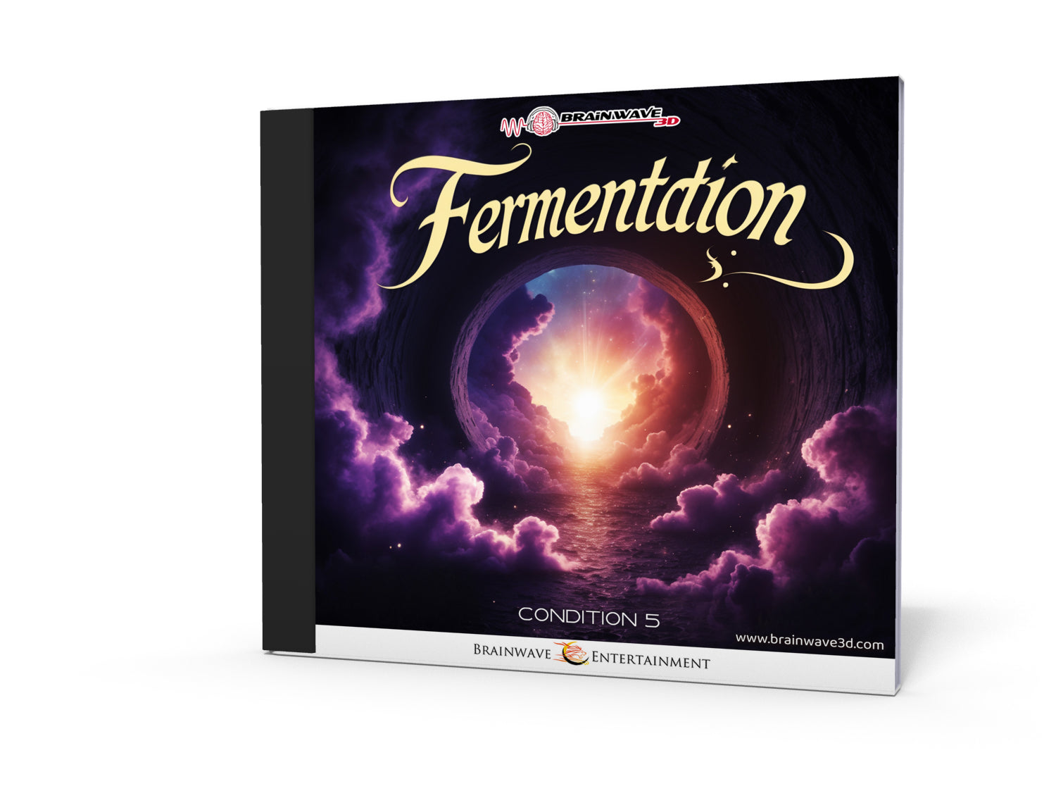 Fermentation - Chapter 5