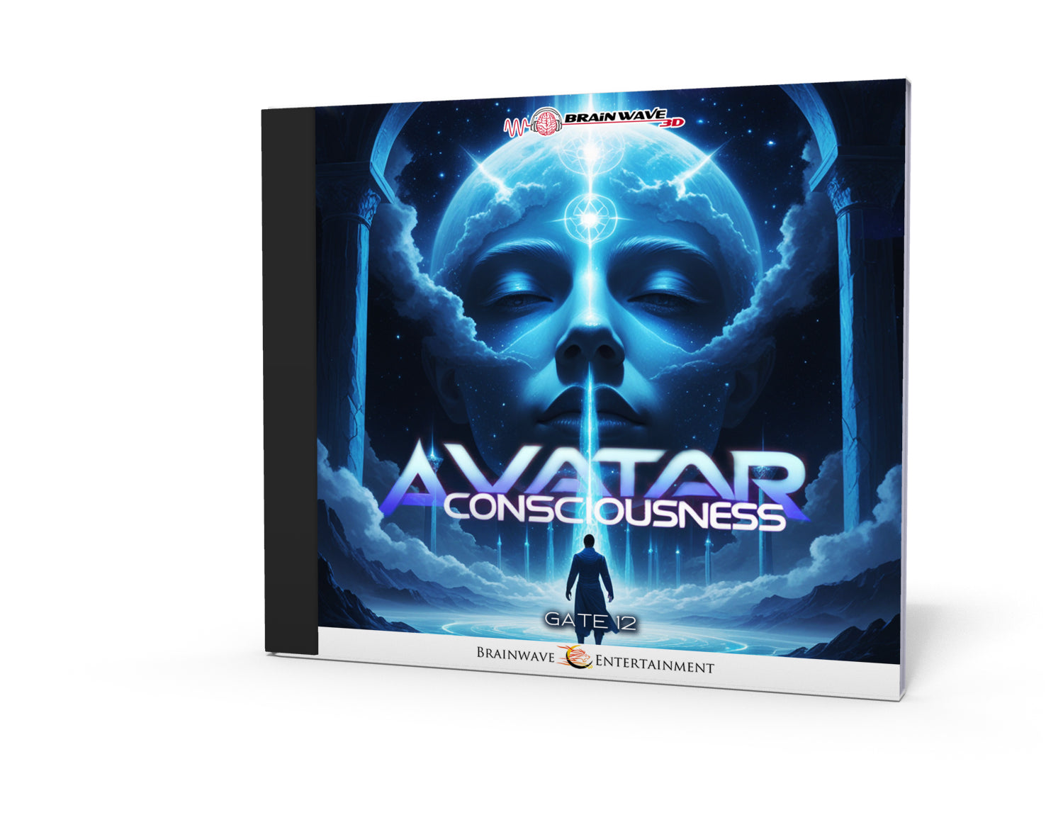 Gate 12: Avatar Consciousness