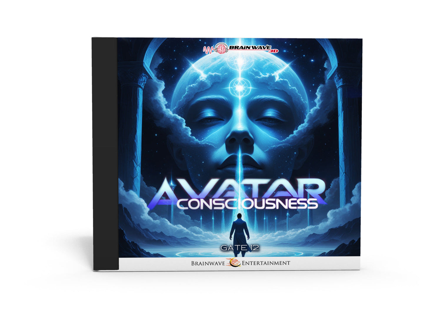Gate 12: Avatar Consciousness