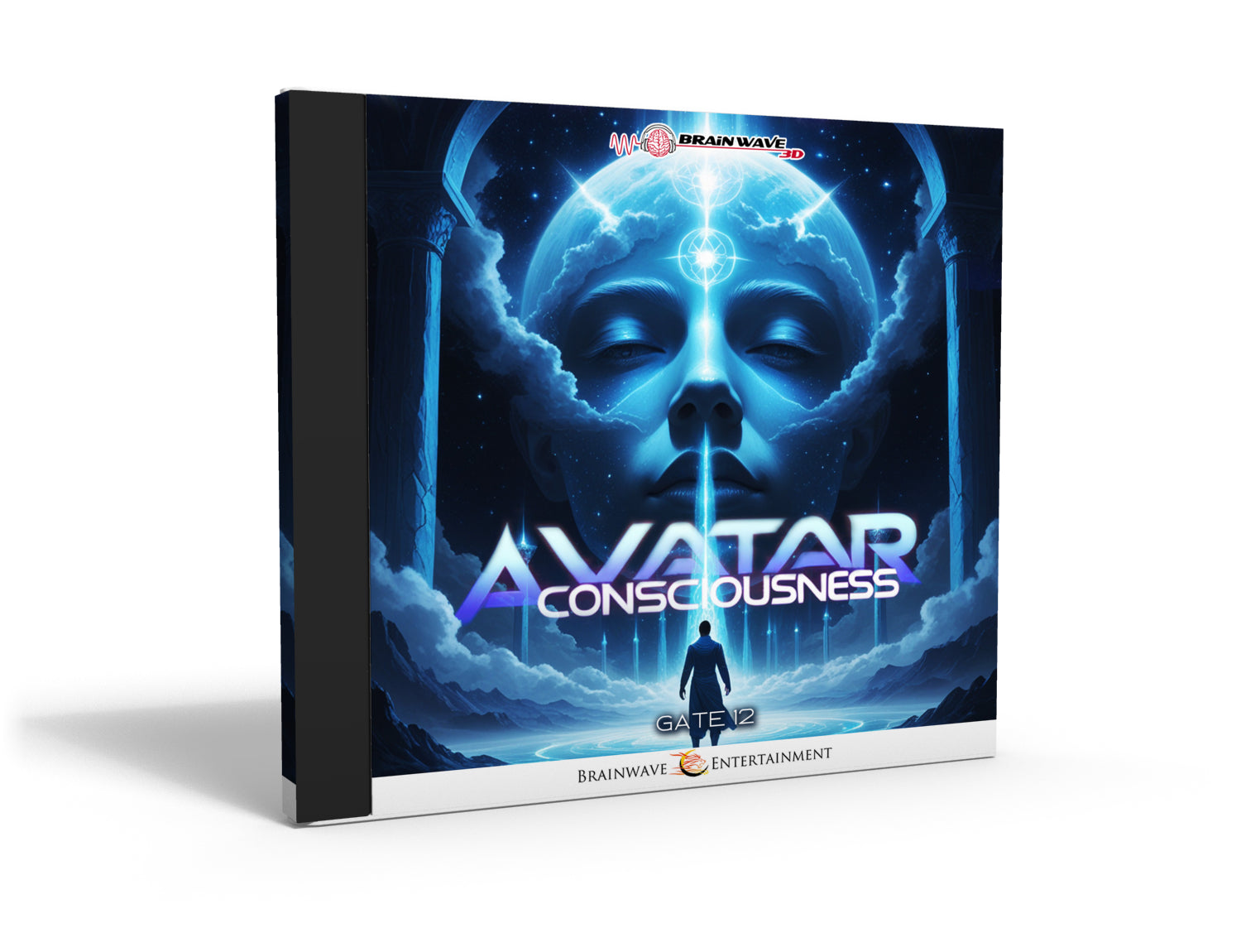 Gate 12: Avatar Consciousness