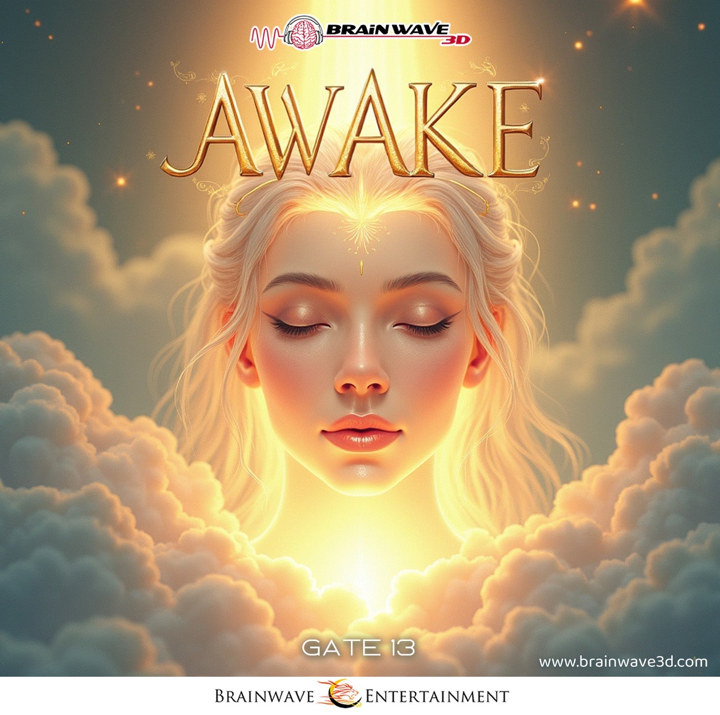 Gate 13: Awake
