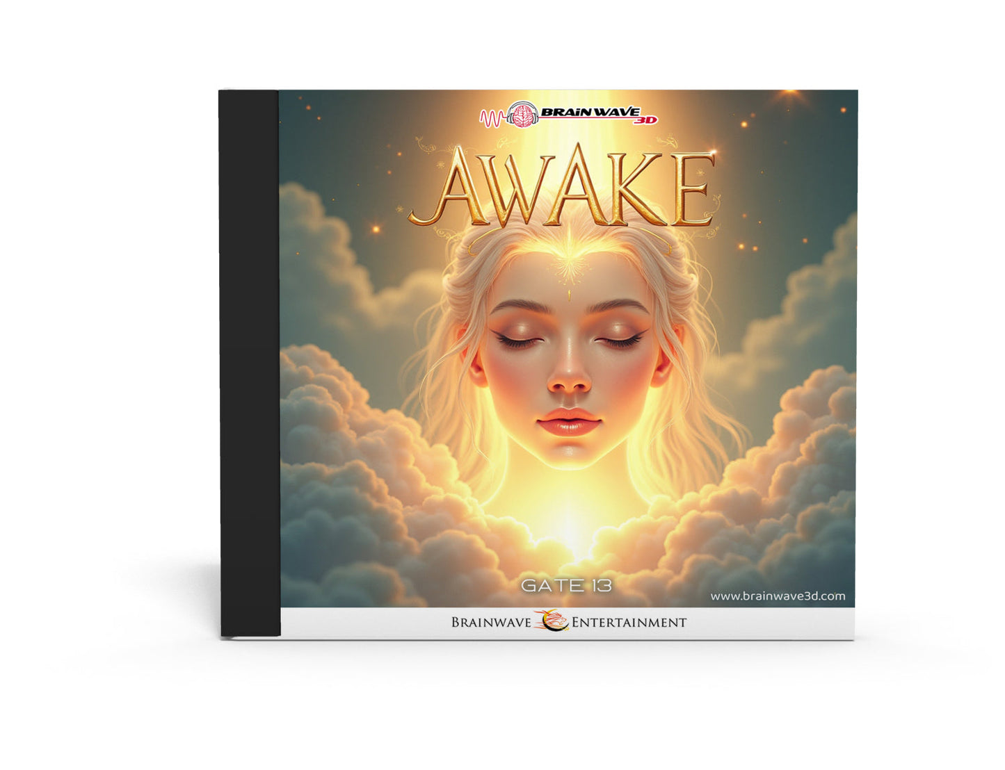 Gate 13: Awake