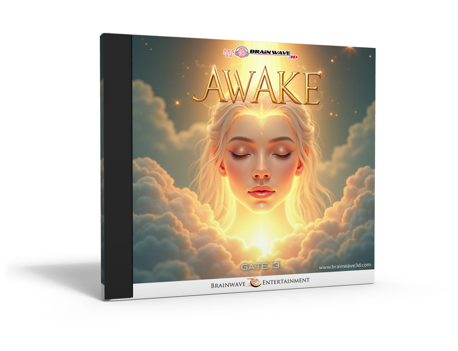 Gate 13: Awake