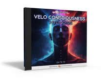 Gate 15: Velo Consciousness